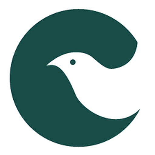 Cool Data: Cheap Data, Airtime