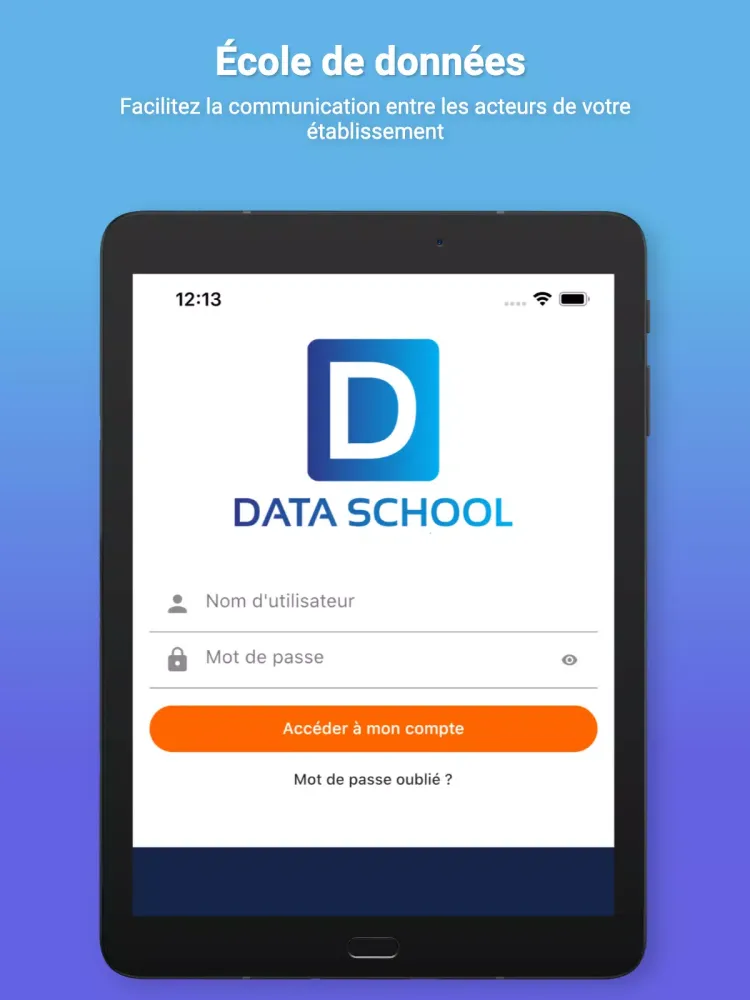 Data School Screenshots