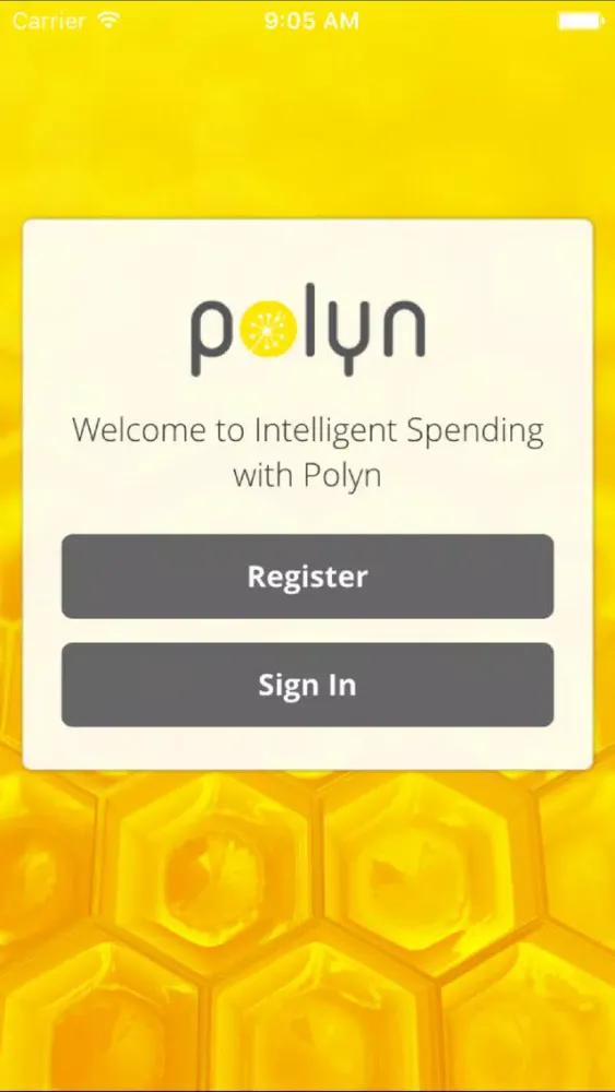 Polyn スクリーンショット