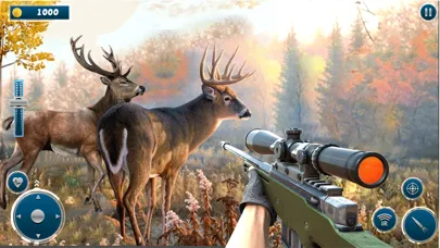 صور Animal Hunting Simulator 2024
