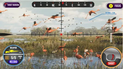 صور Animal Hunting Simulator 2024