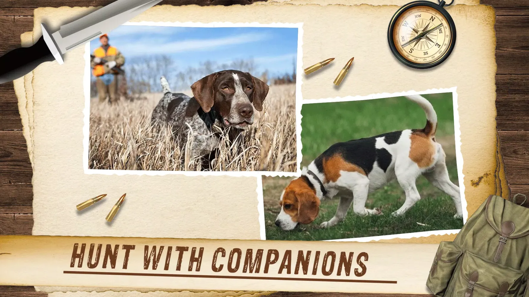 Capturas de pantalla de Wild Animal Hunting Simulator