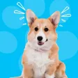 Dog Whistle & Translator