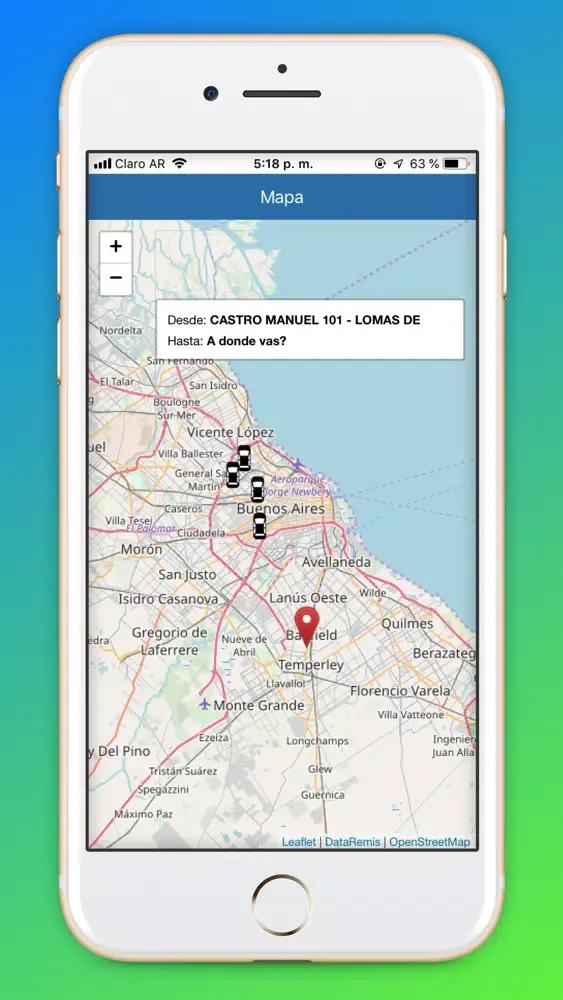 Screenshot di Remo