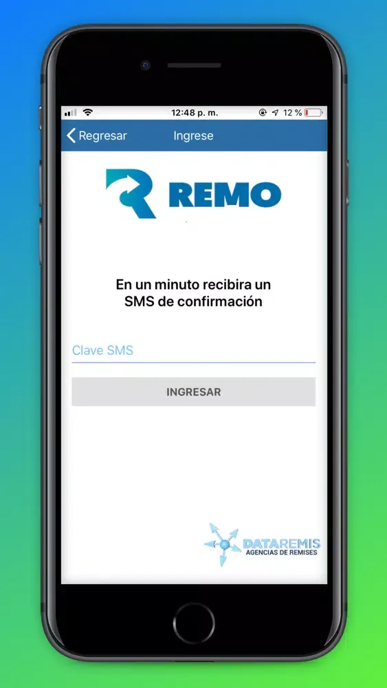 Screenshot di Remo