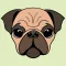 Pug Mojis