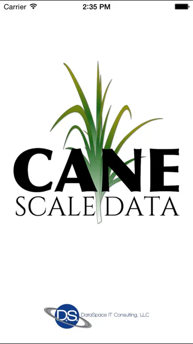 Zrzuty ekranu Cane Scale Data