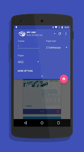 Zrzuty ekranu Datecs Print Service