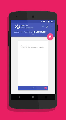 Zrzuty ekranu Datecs Print Service