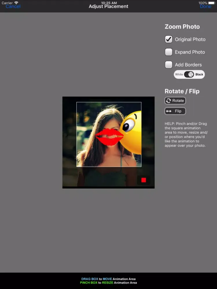 Ảnh chụp màn hình của CLIPish Animator iPad 