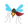 Alonzinhos Contra a Dengue
