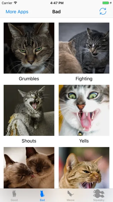 Скриншоты Cats sounds: real and fun sounds for cat lovers