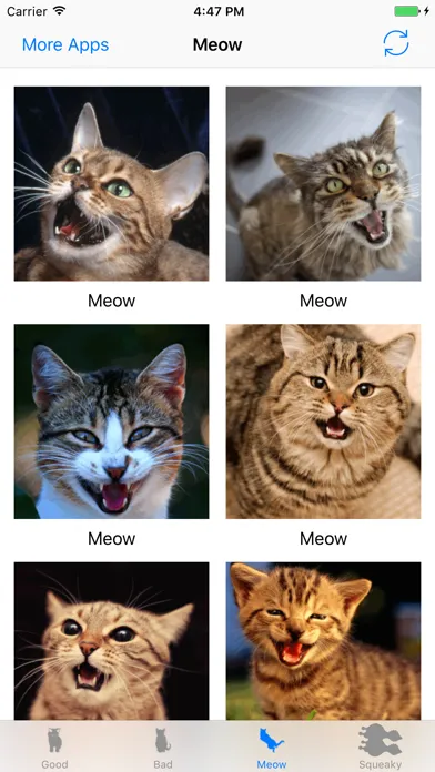 Скриншоты Cats sounds: real and fun sounds for cat lovers