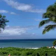 Timeshare Calculators