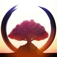 Kanso, your moment of Zen