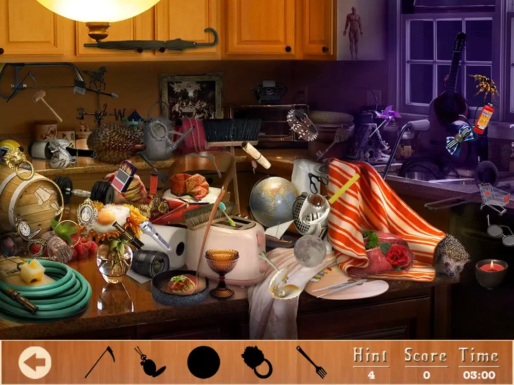 Celebrity Kitchen Hidden Objects iPad 应用截图