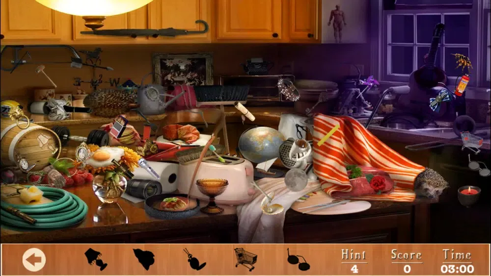 Celebrity Kitchen Hidden Objects应用截图