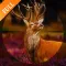 Deer Hunting Defiance 2016 Full - The Real Shooting