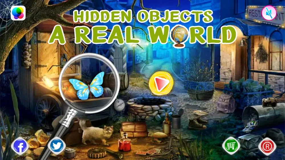 A Real World Hidden Object Ekran Görüntüleri