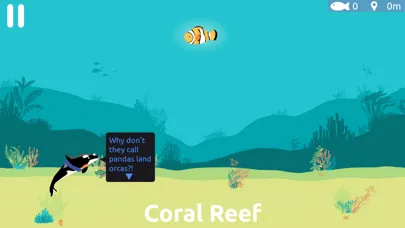 OrcinUS: Orca Pod Rescue Screenshots