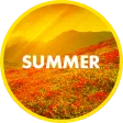 Summer Wallpapers in 4K