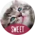 Cute animals Wallpapers