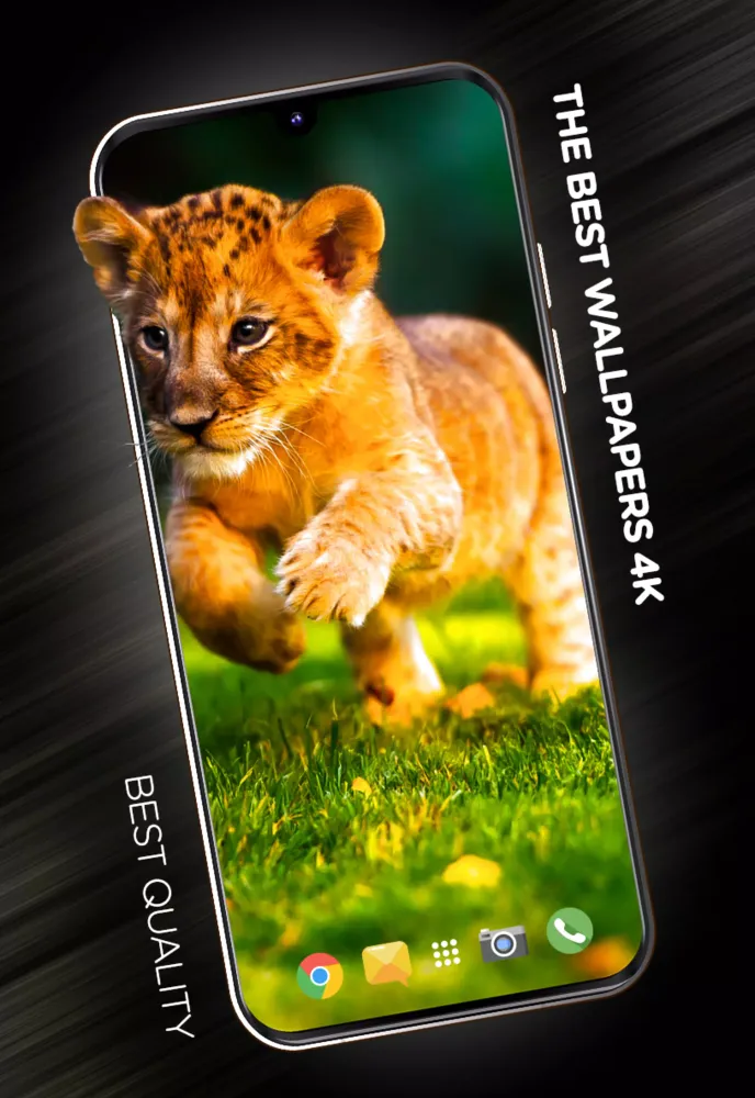 Cute animals Wallpapers Ekran Görüntüleri