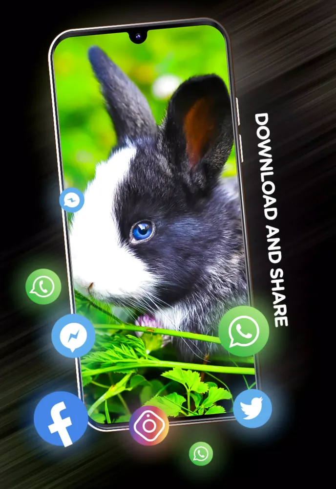 Cute animals Wallpapers Ekran Görüntüleri