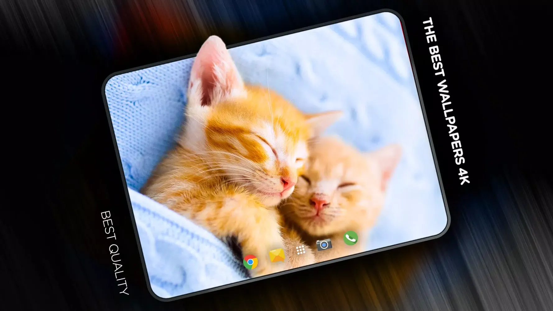 Cute animals Wallpapers Ekran Görüntüleri