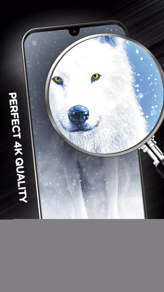 Winter Wallpapers in 4K Screenshots