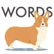 Words Behind Me