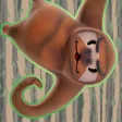 Sloth Climb Sloth Climb