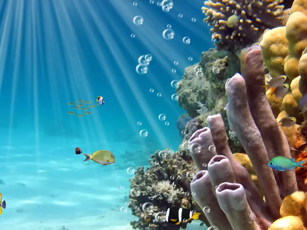 Amazing Aquarium Clock HD LITE iPad 應用截圖
