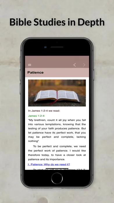 Bible Studies in Depth Daily Screenshots