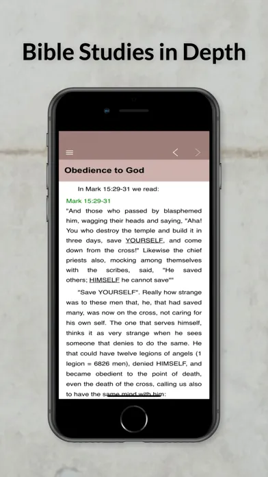 Bible Studies in Depth Daily Screenshots
