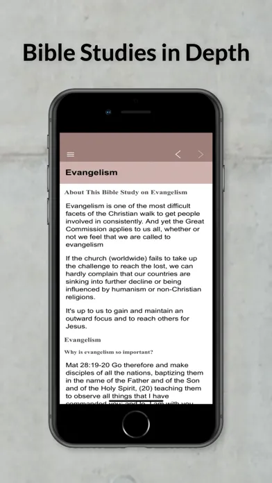 Bible Studies in Depth Daily Screenshots