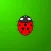 Touch the Ladybug