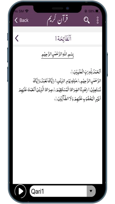 Скриншоты Sirat ul Jinan AlQuran Tafseer