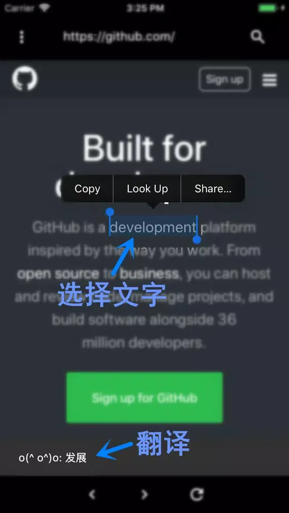 TRB-中英翻译浏览器应用截图
