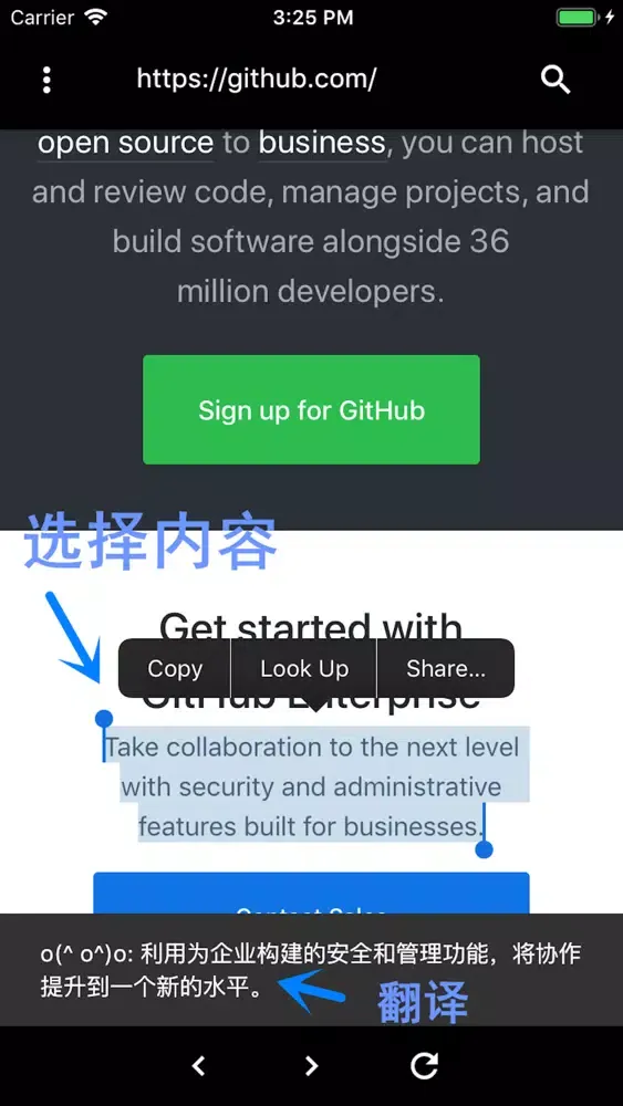 TRB-中英翻译浏览器应用截图