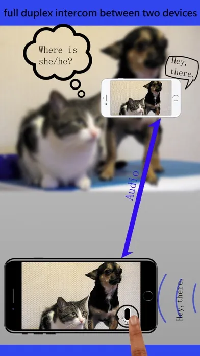 Zrzuty ekranu webcam+ Live Camera and CCTV