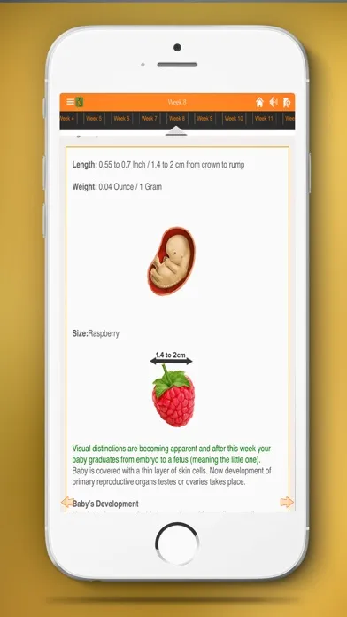 تصاویر Pregnancy Mentor - Baby birth