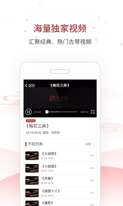 Capturas de pantalla de 国琴网