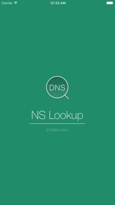 NSLookup Screenshots