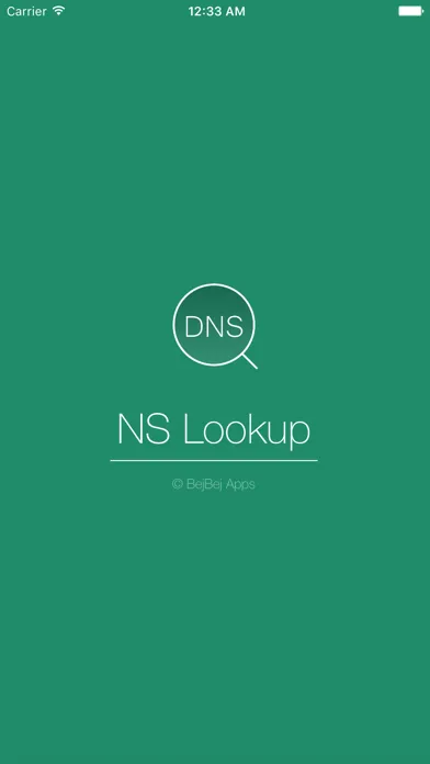 NSLookup应用截图