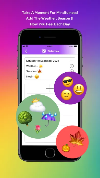 Capturas de tela do Day - Visual Daily Planner