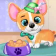 pet Animal Daycare Vet