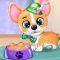 pet Animal Daycare Vet