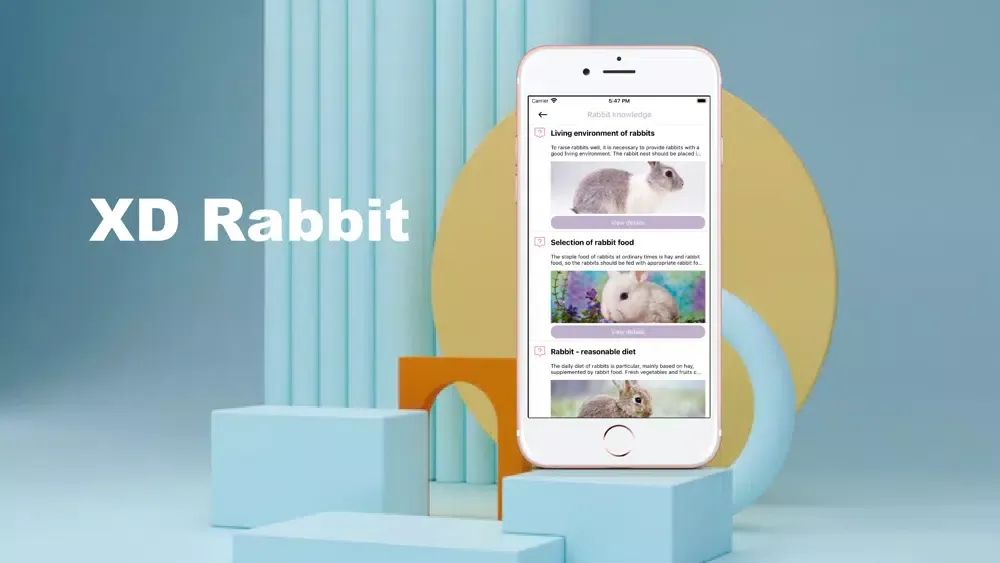 ภาพหน้าจอของ XD Rabbit