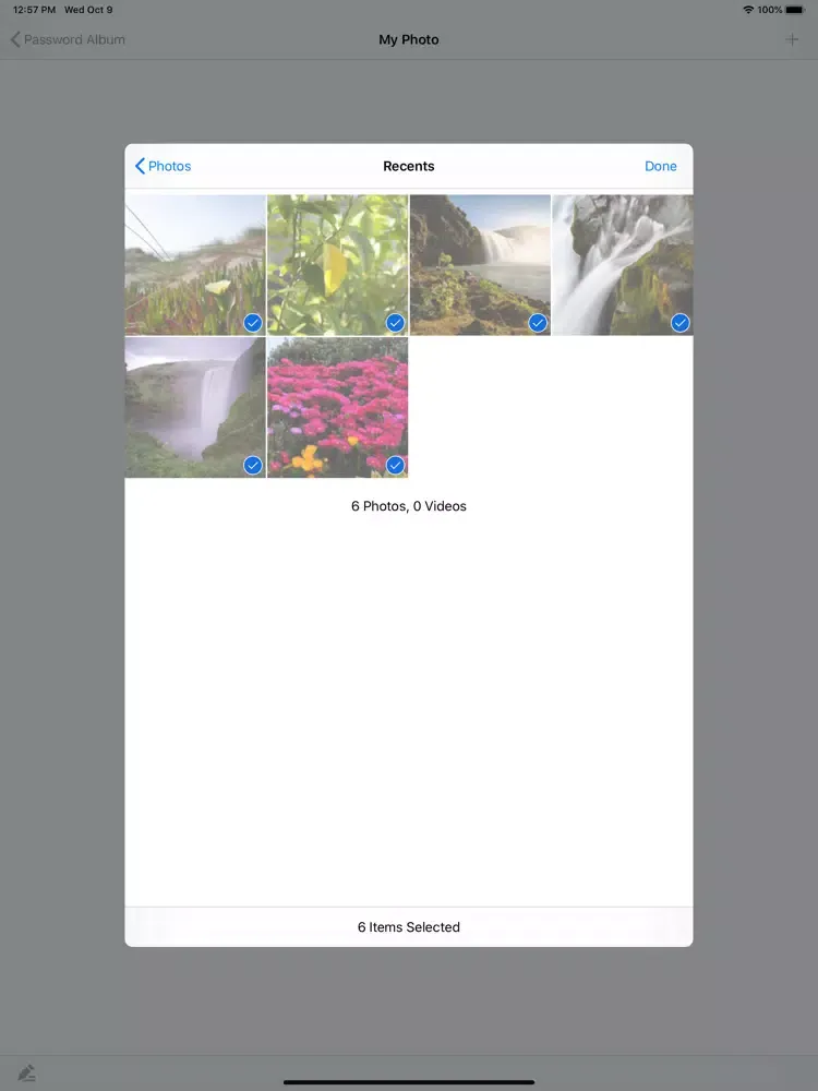 Password Album & Secret Album iPad Screenshots